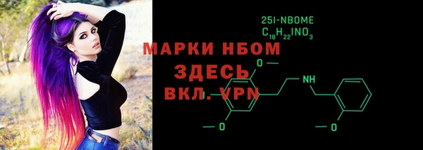 мдпв Карпинск