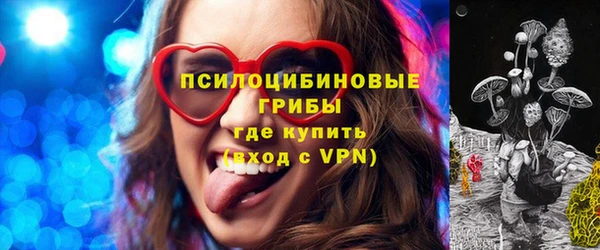 мдпв Карпинск
