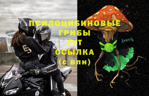 стаф Киренск