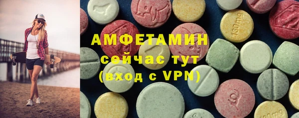 мдпв Карпинск