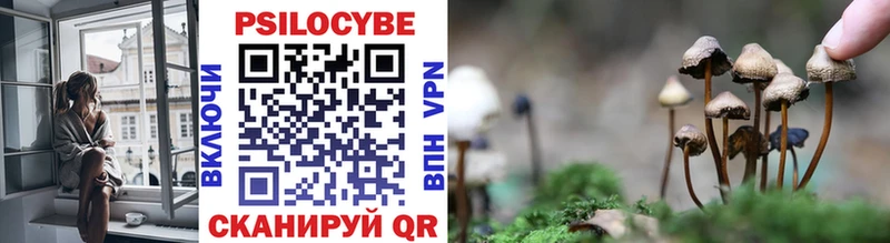 Купить  Бугуруслан  Псилоцибиновые грибы Cubensis 